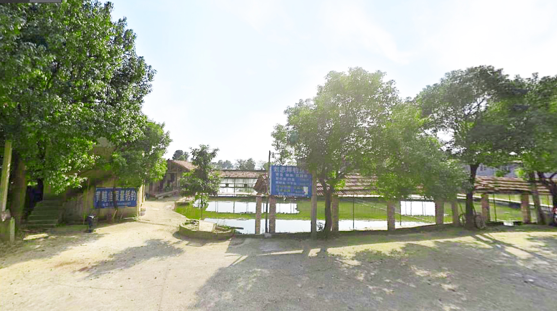 汤逊湖|武汉三环汤逊湖边郊野游：灌木丛衍生出无人区，垂钓园随处可见