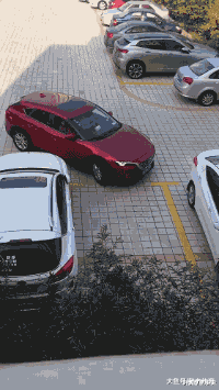 时光了了说说|“班上孩子条件不一般,已经生在罗马了...”哈哈哈哈哈起跑线上的赢家!