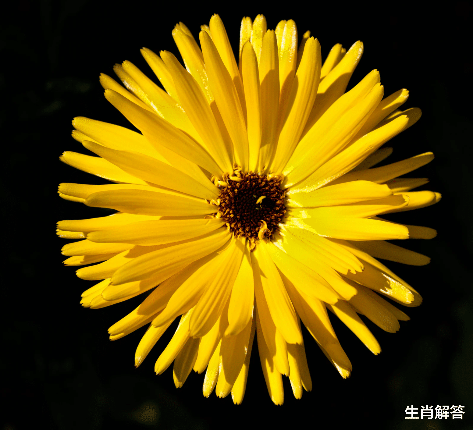 生肖解答|7月，旧爱转身，执手相爱，情丝纠缠，3星座真情回归，邂逅挚爱