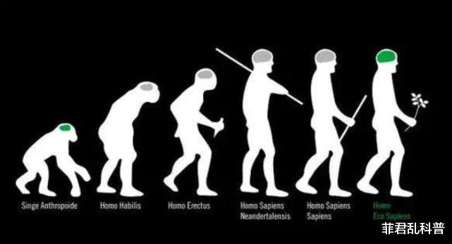 科学家|300万年前的人类被发现，科学家究其死因，发现她一生相当可怜