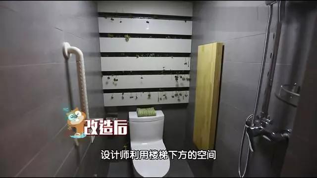 设计师|15米大树穿过20㎡老屋，一家人害怕遭雷劈，出价8万挖走也不敢卖