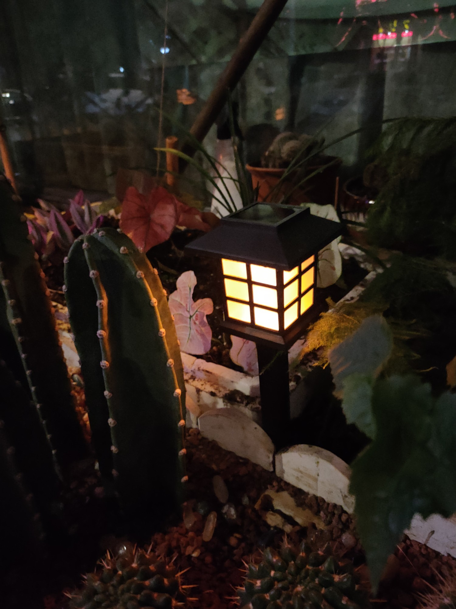 买不起别墅,一定要买顶楼带露台,建一个休闲花园也是不错的选择