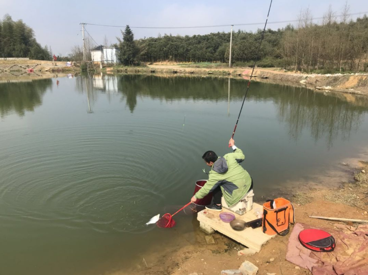 饵料|暖晴天，鱼反而不好钓？不妨试试这四点诀窍，渔获瞬间提升好几倍