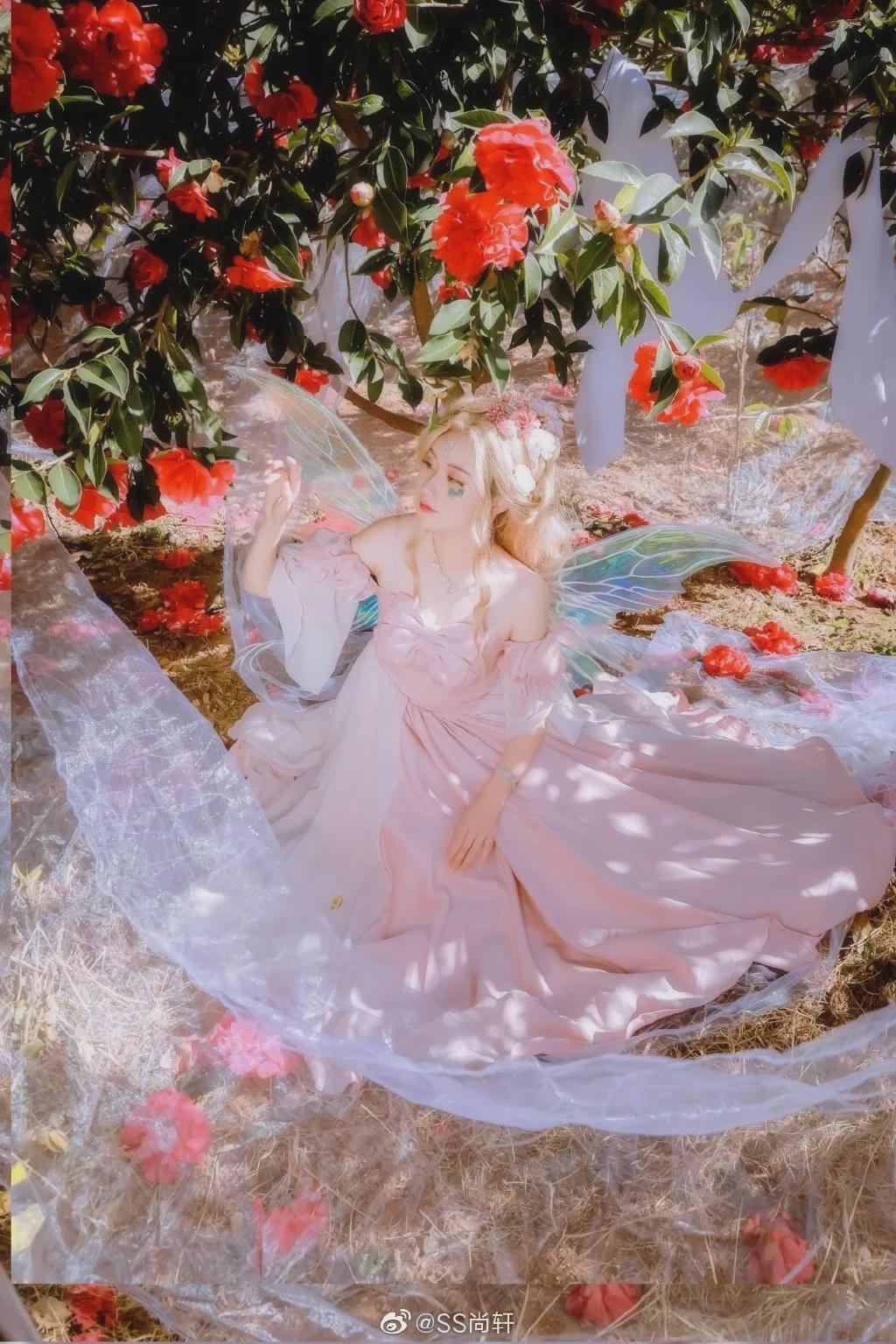 lolita|Lolita：精灵花园