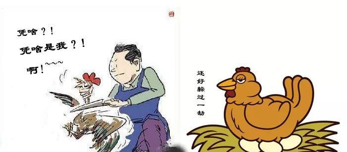 毒蛇 有人说“被眼镜蛇咬了的鸡才是一等一的美味”，有没有科学依据？