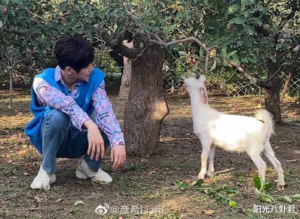 彦希|网曝《青你3》选手彦希偷戒指被发现，本尊直播中公开道歉：当时喝醉了