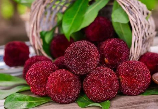 呼啦圈|子宫“不喜欢”的8种水果,女性朋友要少吃,1项运动或能保护子宫