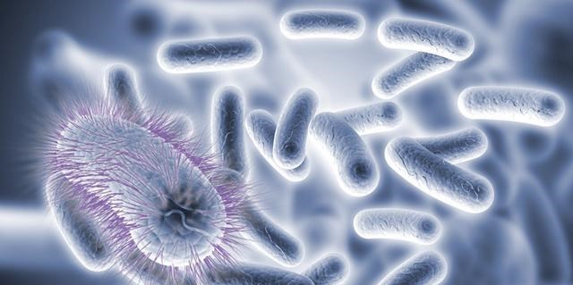 仙人掌 18条冷知识：骆驼吃仙人掌不扎嘴？企鹅也是大长腿？了解一下