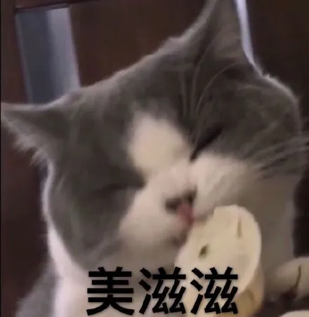 会计师|你不知道的会计师事务所真相：做审计为啥要出差？经常出差吗？出差去做啥？