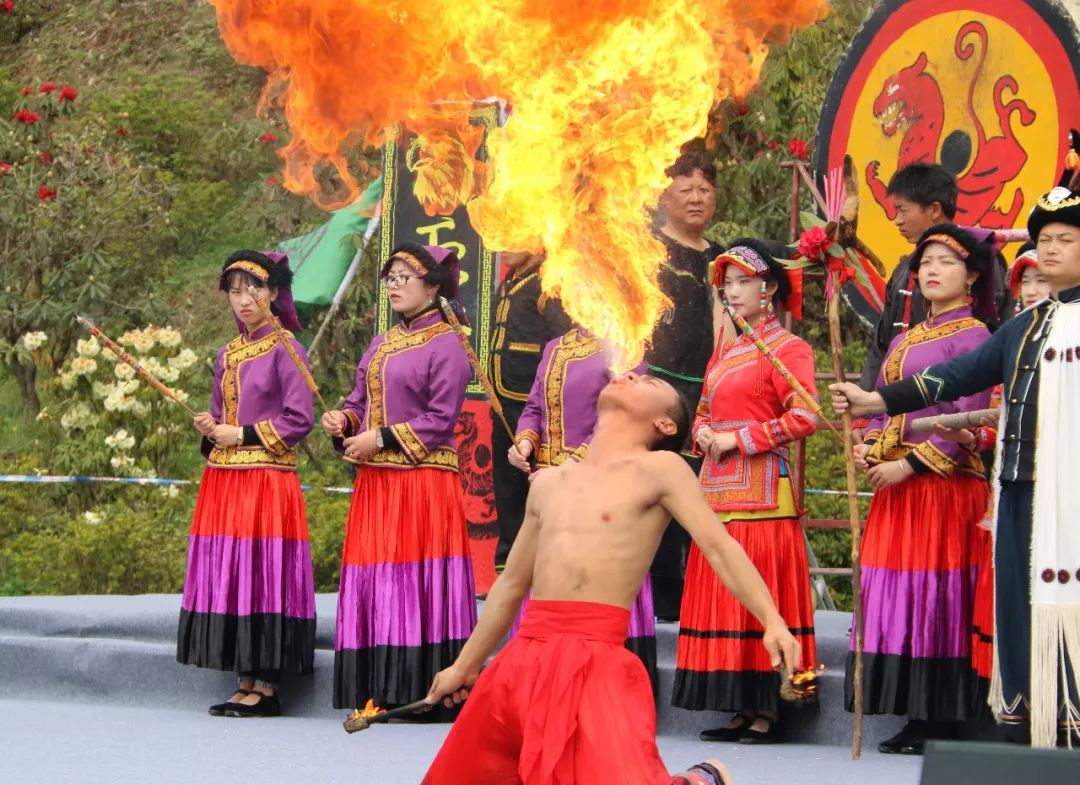 贵州出行 约吗？3.28百里杜鹃祭花神让您好看！