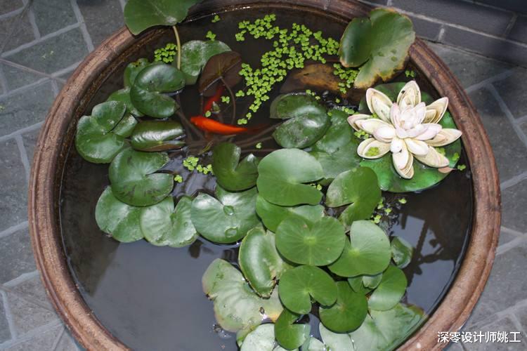 丛满地灰尘到整屋温馨,露台花园自己DIY起来,体验田园生活不是梦