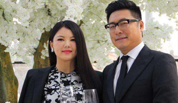 李毓芬|王岳伦多次疑似出轨,为何李湘现在才离婚?看完明白了