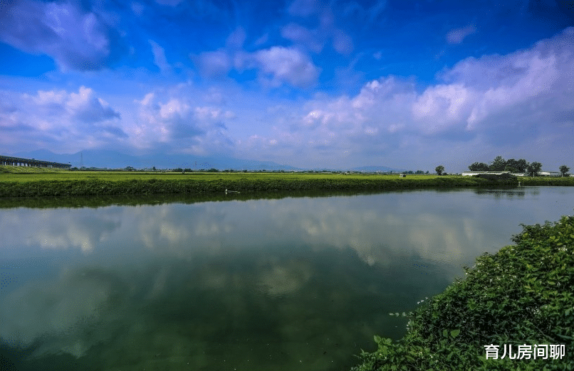 陈志朋|身材很好，令人羡慕，怎么吃都不会胖的三个星座女生