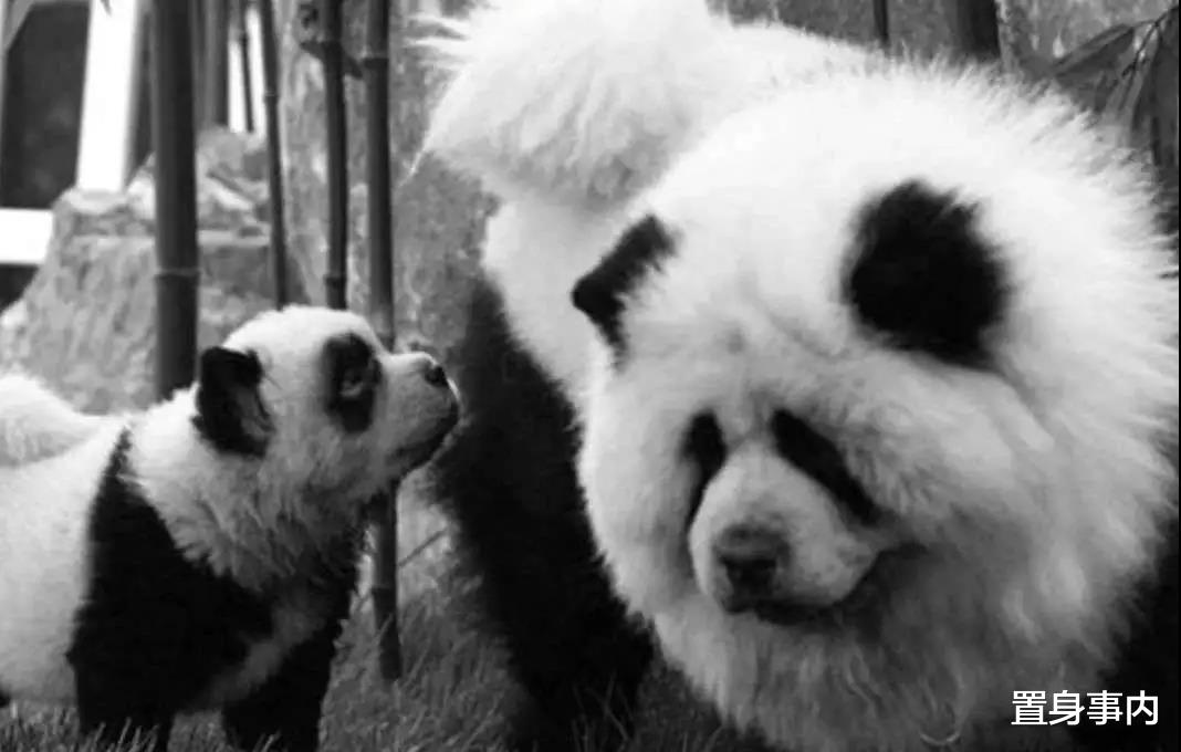 走近科学|开头恐怖片，中间悬疑片，结尾搞笑片，央视《走近科学》停播往事