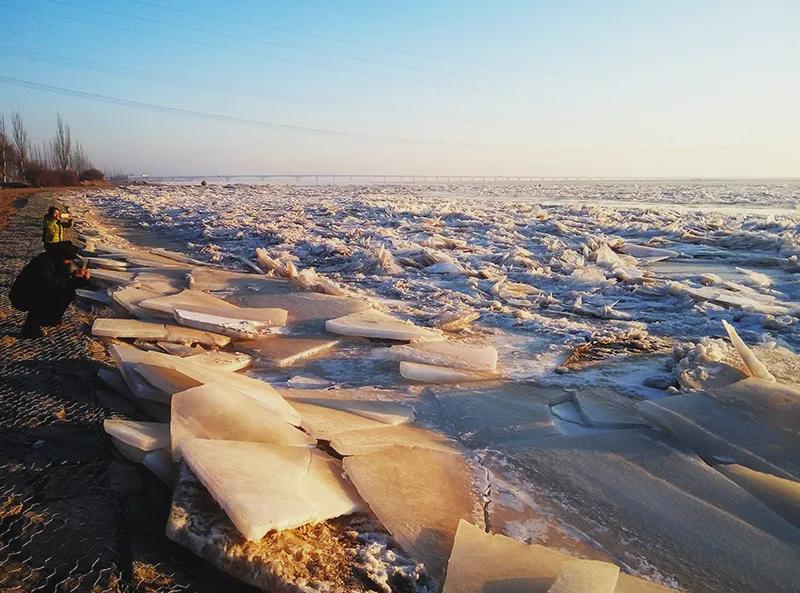 活力内蒙古 磴口即将上演“冰河乍裂”自然大片