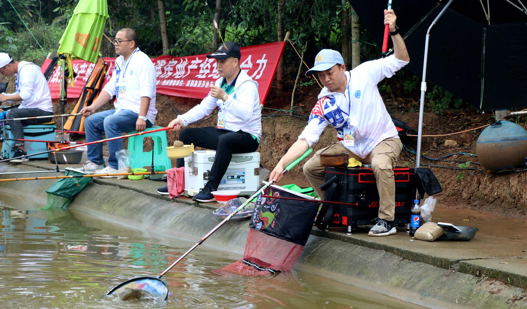 氨基酸|什么钓鱼最有效？氨基酸和维生素b钓鱼有用吗？详解钓鱼伪科学