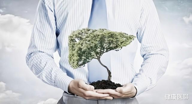 肝脏|肝科医生：肝不好的人，生活中常吃「5」物，养肝护肝，肝越来越好！