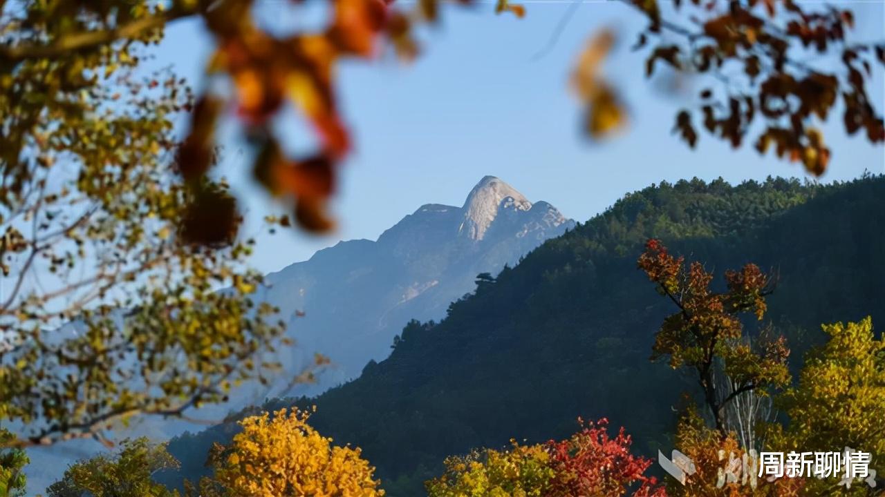 周新聊情 湖北罗田：红叶成旅游靓丽名片，音乐节揽客效果好