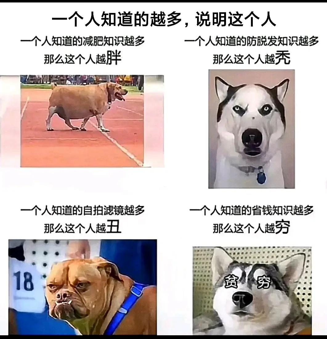 景甜|神回复：如果景甜做你一天女朋友，你会让她干什么？被神评笑死了