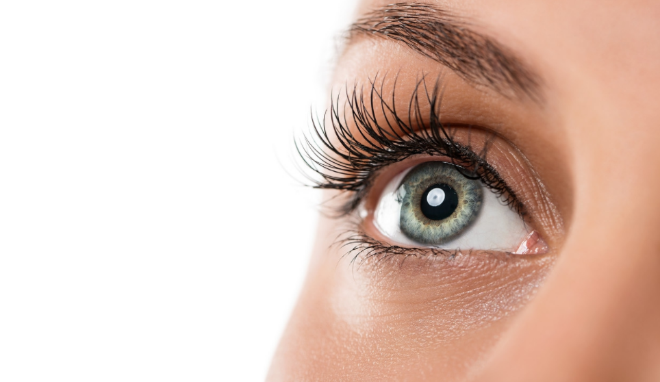 全球医|爱眼底|眼底出血严重危害视力,这类人属高危人群,尤其要小心!