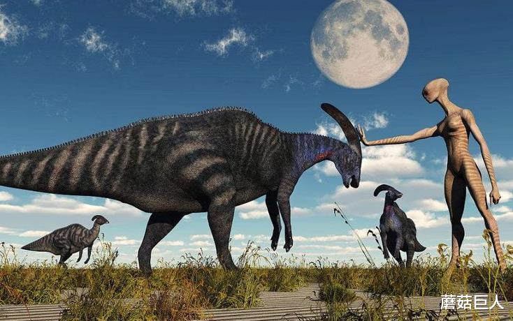 蘑菇巨人|星际麻烦制造者，天龙人的前世今生，在数千万年前布下的万古迷局