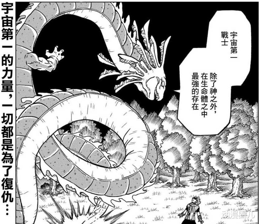 龙珠|龙珠：空贝四十年修行不如一个龙珠许愿？网友：这就是氪金的力量！