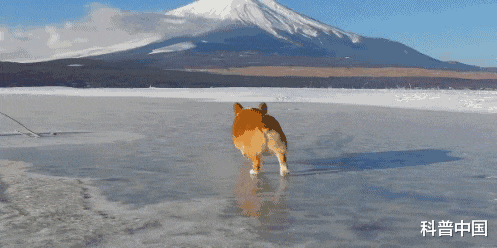 老寒腿|为啥天一冷关节就疼?是不穿秋裤惹的祸?又被骗了好多年
