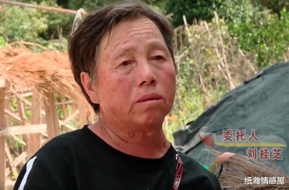 纸鸢情感屋 快要征收，2婚妻子砸坏68岁婆婆的家，丈夫知道后外出打工不管事