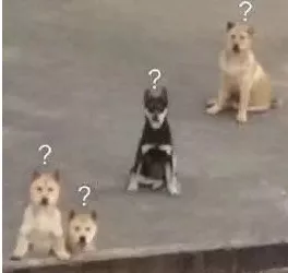 八桂警视 男子出狱后找监控摄像头“报仇”再次落网