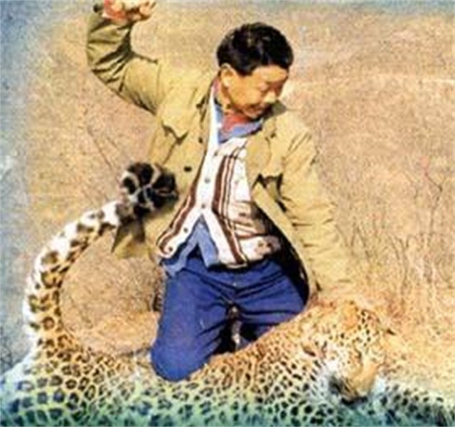“活武松”何广位：一生擒豹230只，90岁高龄靠药酒当董事长