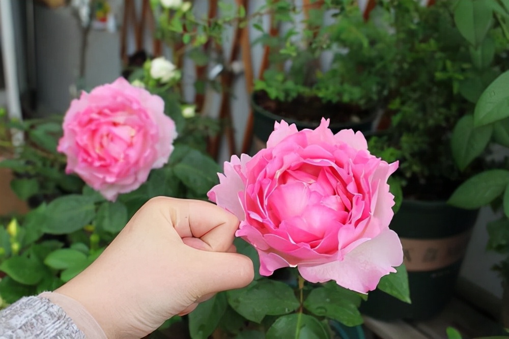 仲念念 写给过了40岁的女人：余生，就这样活着吧，既聪明又优雅