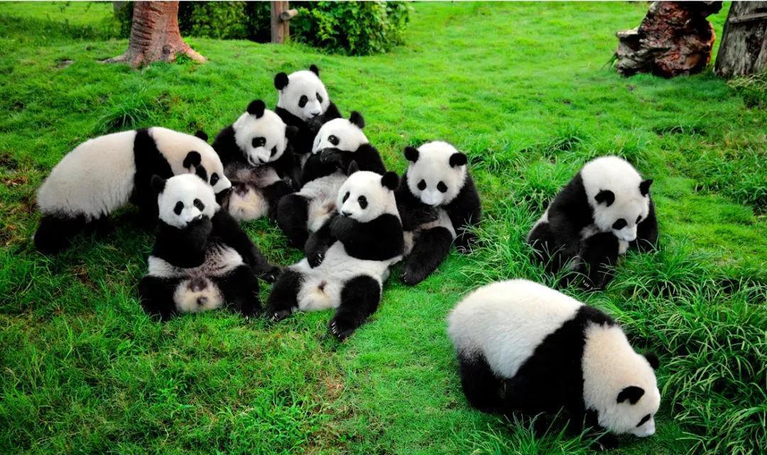 安徽 “51劳动节”10大人气旅游目的地城市，今年你去了哪个城市旅行?