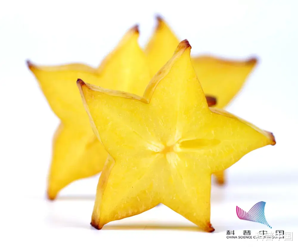 杨桃|这种常见的水果\有毒\，严重可致死？别不信，这些人尤其要注意…