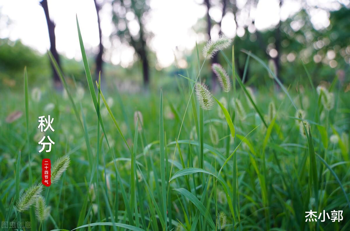榻榻米|2021年不一般,秋分恰逢中秋第3天,吃6食忌4事,不寒不燥过秋天