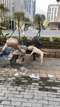 书尽心生|神回复：“说吧，看中哪个小姐姐了，可能我还帮得上忙！”哈哈哈