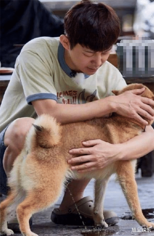 错位|邓伦因头发错位图上热搜，还有这些明星错位图更搞笑！