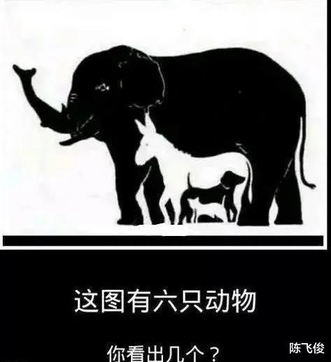 陈飞俊 “有一说一，男人还是更喜欢卡哇伊的妹子！