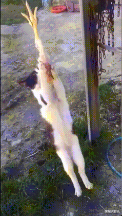 学姐说育儿|“你以前做过最羞耻的事情是什么?”女朋友的回答太tm积极了!