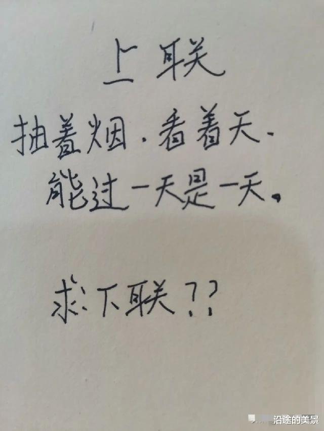 沿途的美景|“以为买了个壁虎，却没想到越长越大！”这是养着养着进化了吗