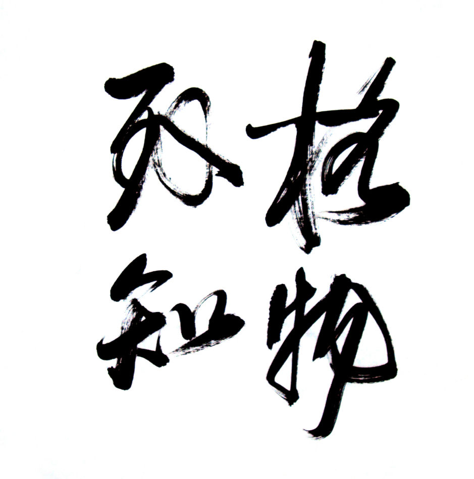 高维学说 国学到底是一门什么知识呢？与其说它是一门知识，不如讲它是一种价值观！
