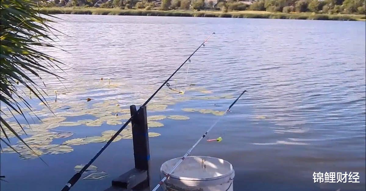 马克·威廉姆斯|年轻人沉迷于短视频的“低级快乐”