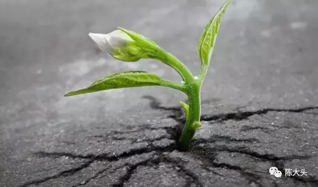 银行|法拍房中，唯一暖心的故事，值得效仿