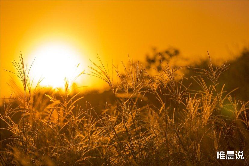 唯晨说|识人:情商高的人知分寸,不会做这几种事