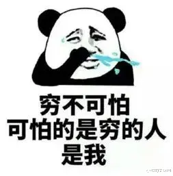 文玩|这些树籽下树了，文玩人两眼放光，不看看？