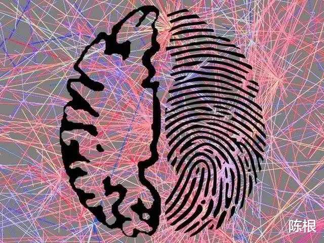 陈根:开发新技术,高效识别大脑“指纹”