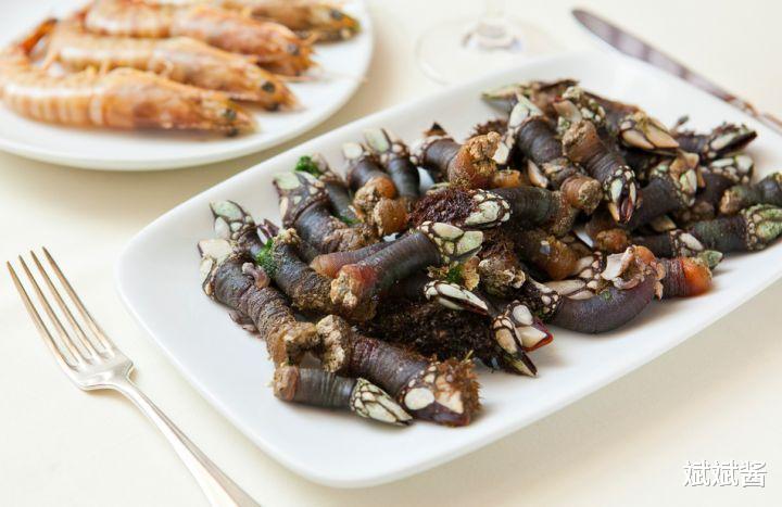  为何很多海洋生物最讨厌的生物是鹅颈藤壶？