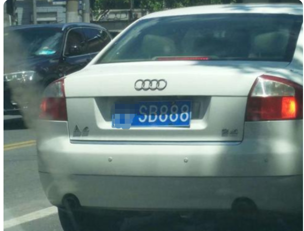 女司机 女司机得罪选号系统,摇出20个车牌眼前一黑,胆再大也不敢挂