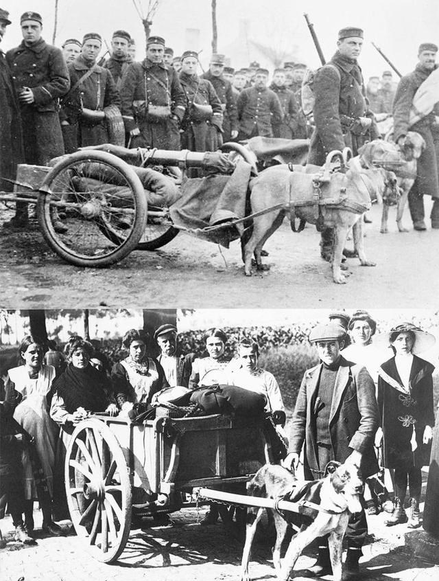 |100年前的英军步兵排：狙击手是亮点，机枪分队成“大腿”