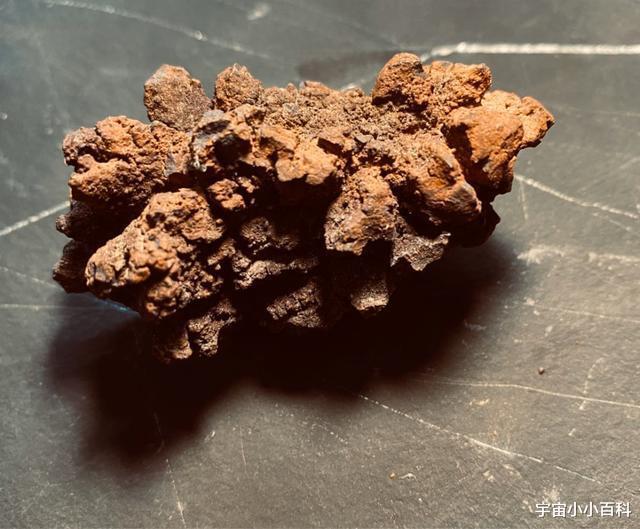 植物花朵的奇怪之处,从“小不点”到“巨人”!