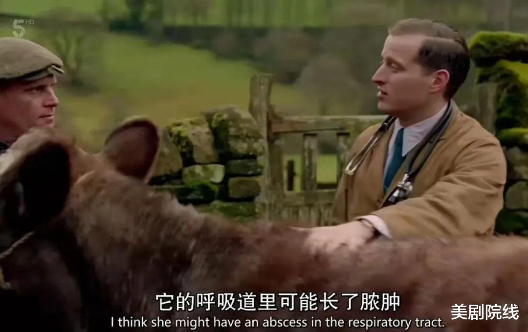 兽医|一集拿下9.6分,这部年度最佳英剧,又来了